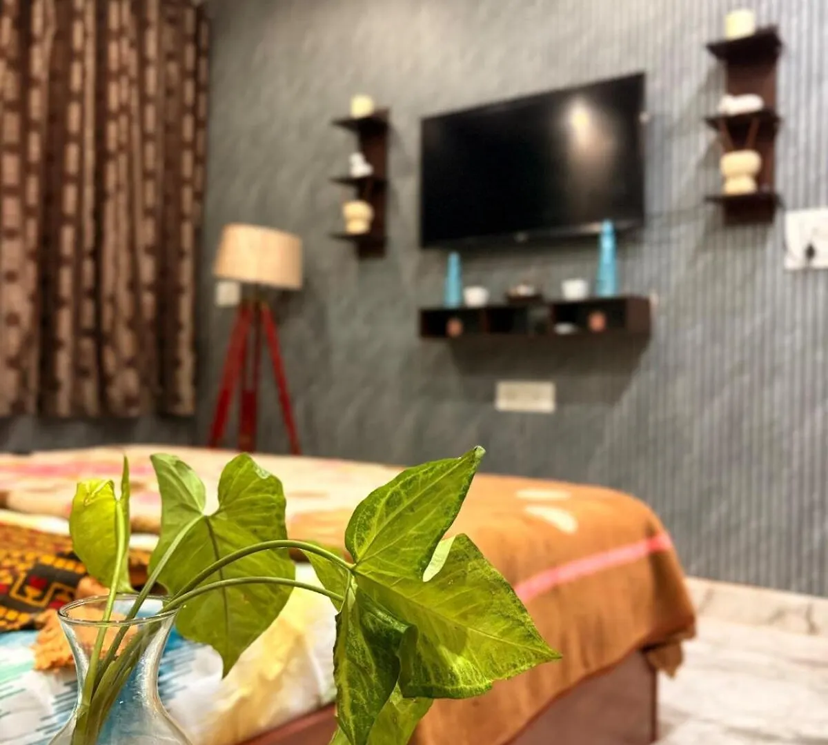 3Bhk Apartment With The Terrace Gurgáon Indie
